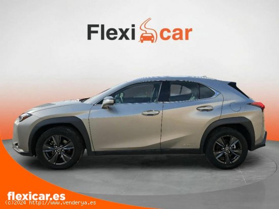 Lexus UX 2.0 250h Business - Segovia