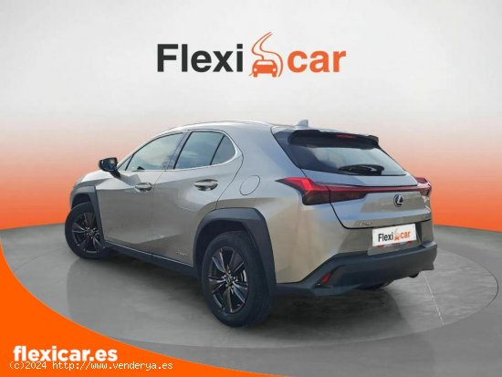 Lexus UX 2.0 250h Business - Segovia