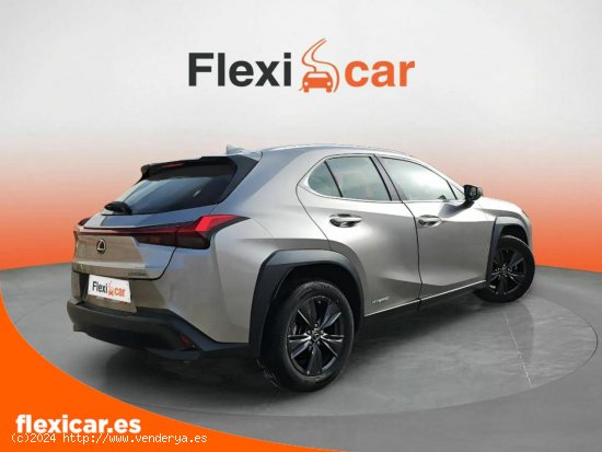 Lexus UX 2.0 250h Business - Segovia