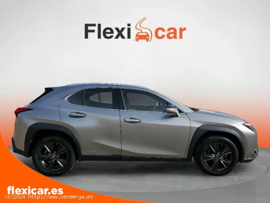 Lexus UX 2.0 250h Business - Segovia