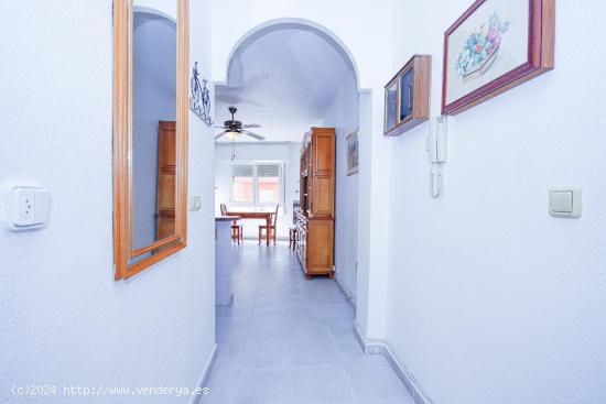 APARTAMENTO DE 1 DORMITORIO 1 BAÑO EN CENTRO DE TORREVIEJA (ALICANTE) - ALICANTE