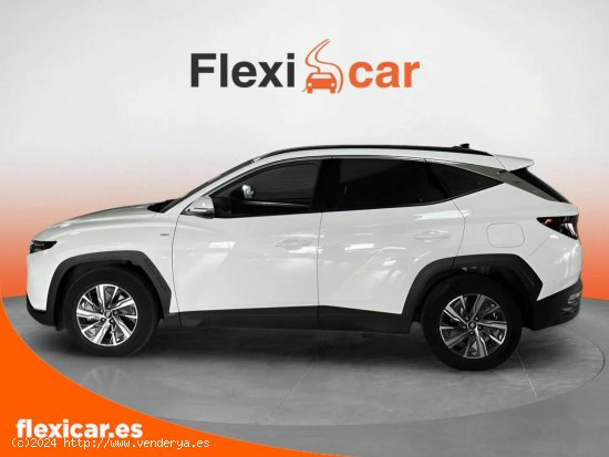 Hyundai Tucson 1.6 CRDI 100kW (136CV) 48V N-Line Sky DC - Alicante