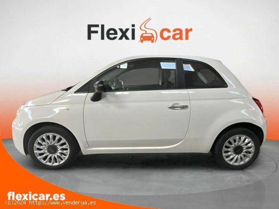 Fiat 500 Cult 1.0 Hybrid 51KW (70 CV) - Málaga