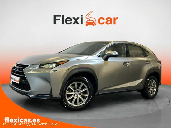 Lexus NX 2.5 300h Corporate 2WD - Vigo