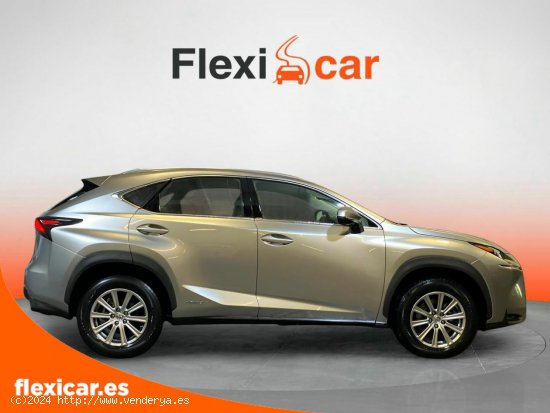 Lexus NX 2.5 300h Corporate 2WD - Vigo