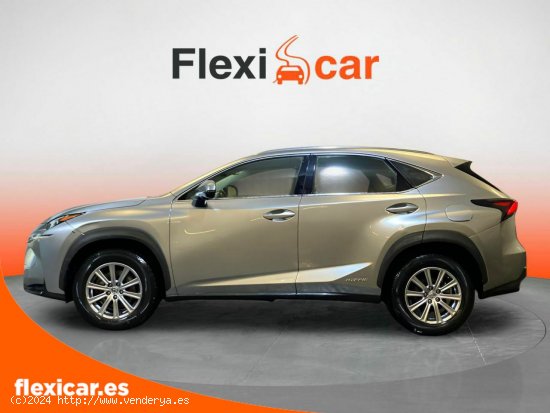 Lexus NX 2.5 300h Corporate 2WD - Vigo