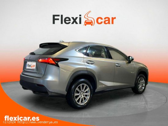 Lexus NX 2.5 300h Corporate 2WD - Vigo