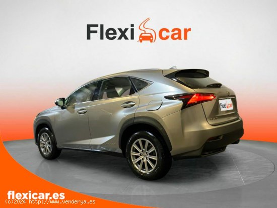 Lexus NX 2.5 300h Corporate 2WD - Vigo