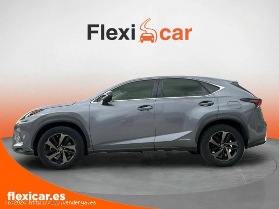 Lexus NX 2.5 300h Sport Edition 2WD - Mataró