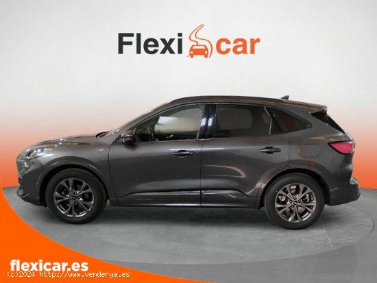 Ford Kuga ST-Line 1.5T EcoBoost 110kW (150CV) - Logroño