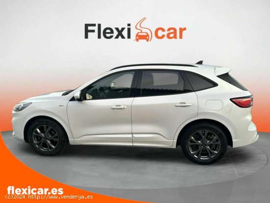 Ford Kuga ST-Line 1.5T EcoBoost 110kW (150CV) - Figueres