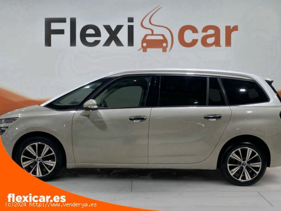 Citroën Grand C4 Picasso PureTech 96KW (130CV) S&S 6v Feel - Salamanca