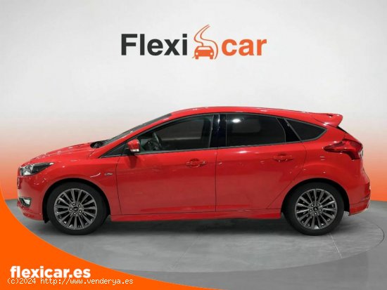 Ford Focus 1.0 Ecoboost 92kW ST-Line - Salamanca