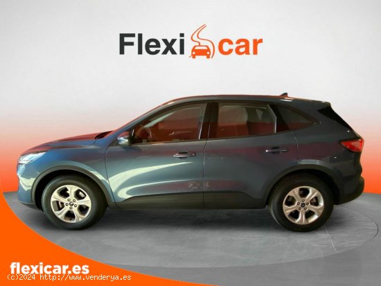 Ford Kuga Trend 1.5 EcoBlue 88kW (120CV) - Murcia