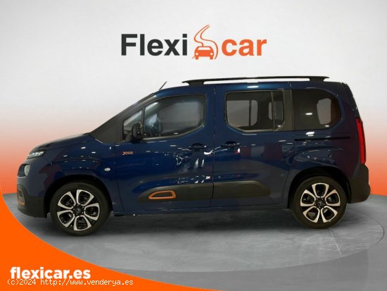 Citroën Berlingo Talla M BlueHDi 102 XTR- 5P (2019) - Esplugues de Llobregat