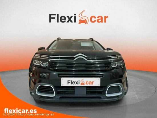 Citroën C5 Aircross BlueHdi 96kW (130CV) S&S EAT8 Shine - Reus