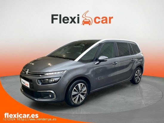 Citroën Grand C4 Picasso PureTech 96KW (130CV) S&S 6v Feel - Vitoria-Gasteiz