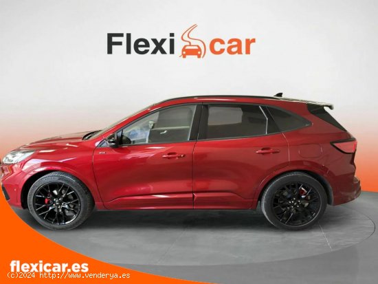 Ford Kuga ST-Line 1.5T EcoBoost 110kW (150CV) - Las Palmas de Gran Canaria