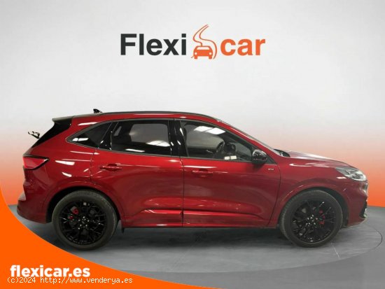 Ford Kuga ST-Line 1.5T EcoBoost 110kW (150CV) - Las Palmas de Gran Canaria