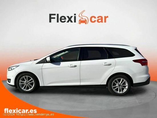 Ford Focus 1.0 Ecoboost A-S-S 125 Business Sportb. - Granollers