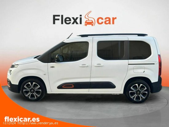 Citroën Berlingo Talla XL BlueHDi 100 SHINE - Salamanca