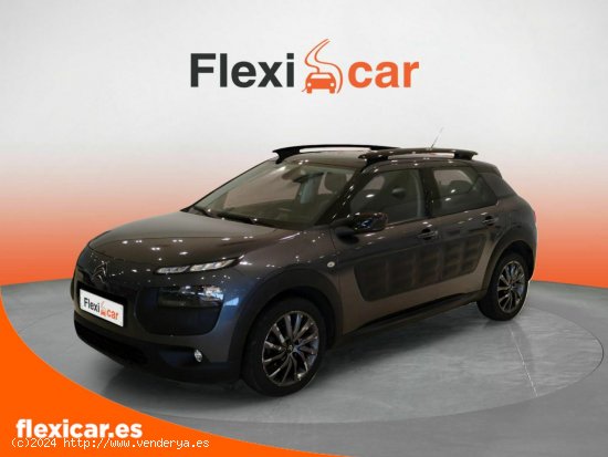 Citroën C4 Cactus BlueHDi 100 ETG6 Shine - Cáceres