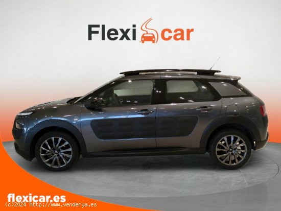 Citroën C4 Cactus BlueHDi 100 ETG6 Shine - Cáceres