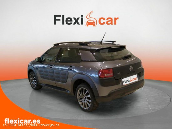 Citroën C4 Cactus BlueHDi 100 ETG6 Shine - Cáceres