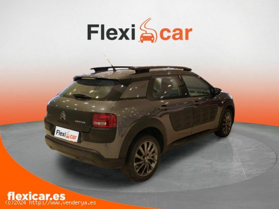 Citroën C4 Cactus BlueHDi 100 ETG6 Shine - Cáceres