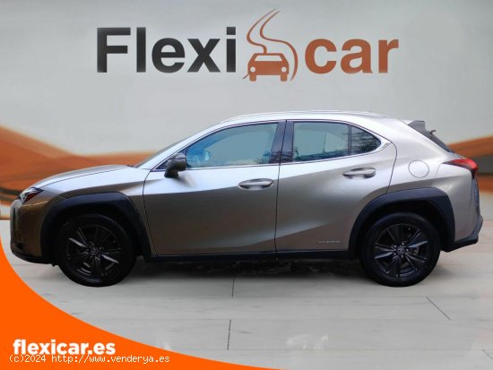 Lexus UX 2.0 250h Business Navigation - Vigo