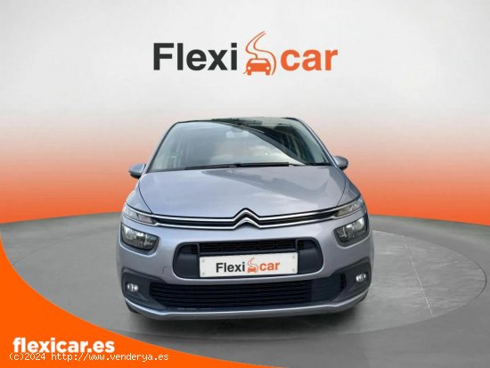 Citroën C4 Picasso BlueHDi 88KW (120CV) EAT6 Feel - Iurreta