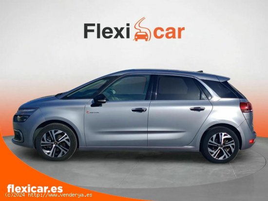 Citroën C4 Picasso PureTech 96KW (130CV) S&S Rip Curl - Santander