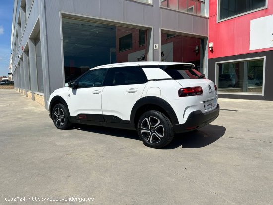 Citroën C4 Cactus BlueHDi 100 S&S Shine - Parla