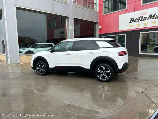 Citroën C4 Cactus BlueHDi 100 S&S Shine - Parla