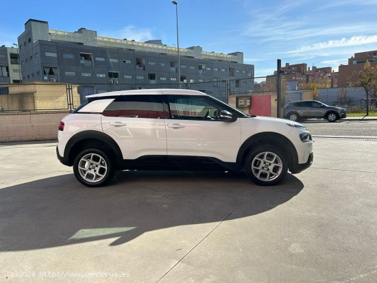 Citroën C4 Cactus BlueHDi 74KW (100CV) S&S Shine - Parla