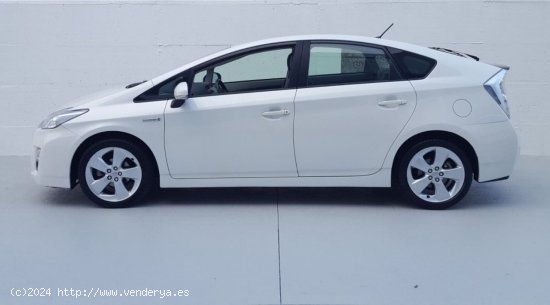 Toyota Prius EXECUTIVE - Montcada i Reixach