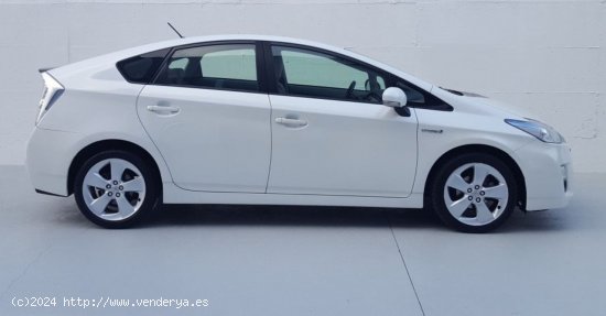 Toyota Prius EXECUTIVE - Montcada i Reixach