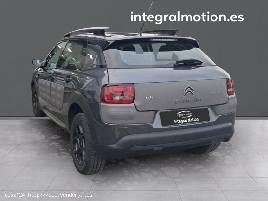 Citroën C4 Cactus BlueHDi 100 Live - Burela