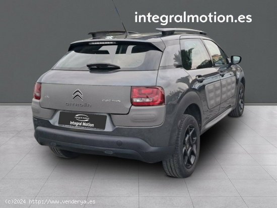 Citroën C4 Cactus BlueHDi 100 Live - Burela