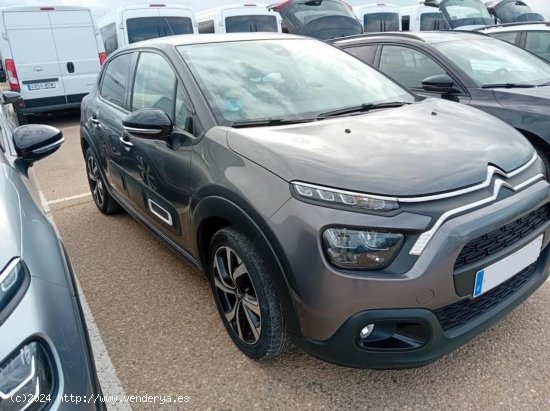 Citroën C3 BlueHDi 75KW (100CV) S&S Shine GRIS 2023 - Carcaixent