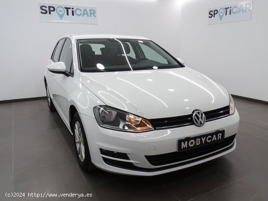 Volkswagen Golf Edition 1.6 TDI BMT - Manises