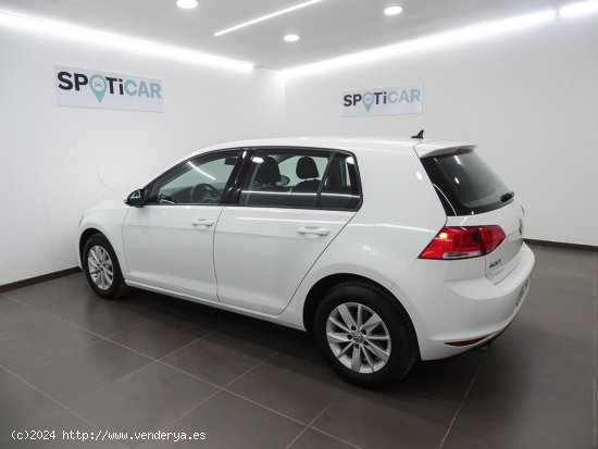 Volkswagen Golf Edition 1.6 TDI BMT - Manises