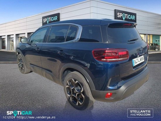 Citroën C5 Aircross  BlueHdi 96kW (130CV) S&S EAT8 Plus - Móstoles