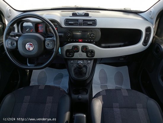 Fiat Panda 1.2 City Cross 51kW (69CV) 4x2 - Las Palmas de Gran Canaria