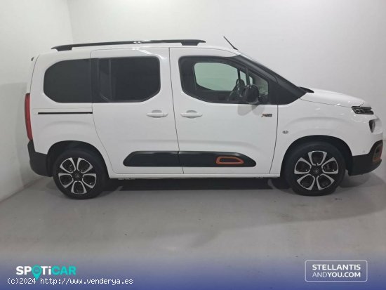 Citroën Berlingo  Talla M BlueHDi 100 S&S Shine - Sant Feliu de Llobregat