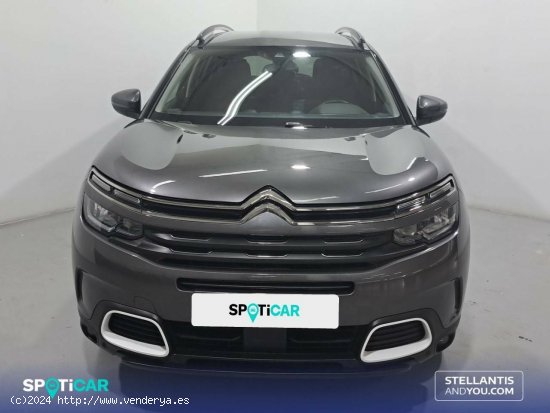 Citroën C5 Aircross  PureTech 96kW (130CV) S&S Feel - Sant Boi de Llobregat