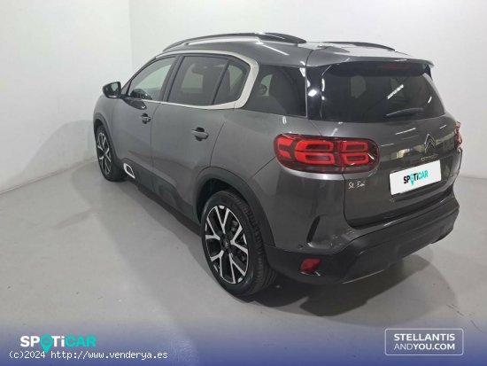 Citroën C5 Aircross  PureTech 96kW (130CV) S&S Feel - Sant Boi de Llobregat