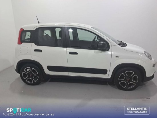 Fiat Panda   Hybrid 1.0 Gse 51kw (70CV) City Life - Sant Boi de Llobregat