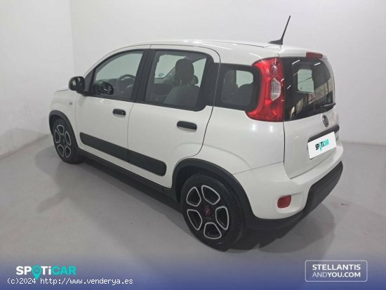 Fiat Panda   Hybrid 1.0 Gse 51kw (70CV) City Life - Sant Boi de Llobregat