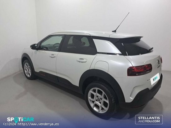 Citroën C4 Cactus  PureTech 81KW (110CV) S&S Feel - Sant Boi de Llobregat